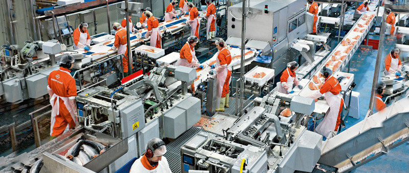 workers and technology in process in a factory