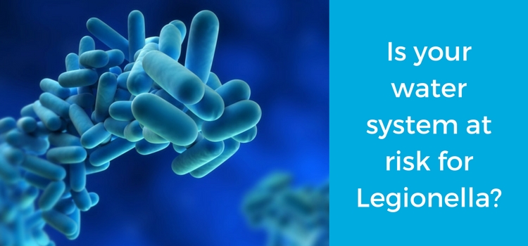Legionella cells - is your water system at risk for Legionella