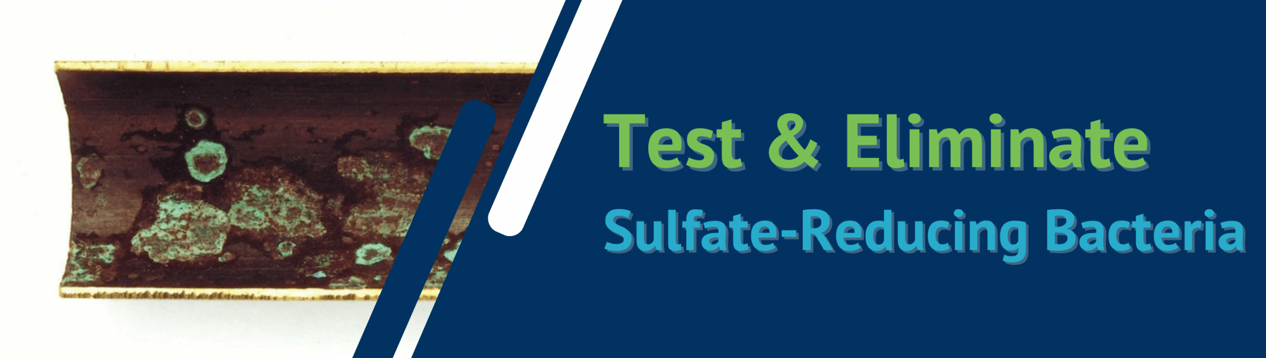 Test & Eliminate Sulfate-Reducing Bacteria