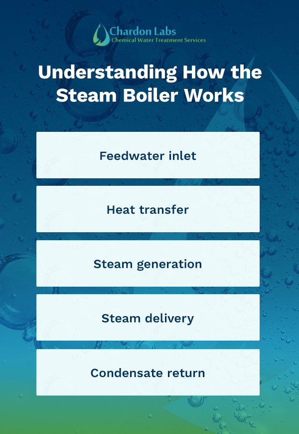 Understanding How the Steam Boiler Works